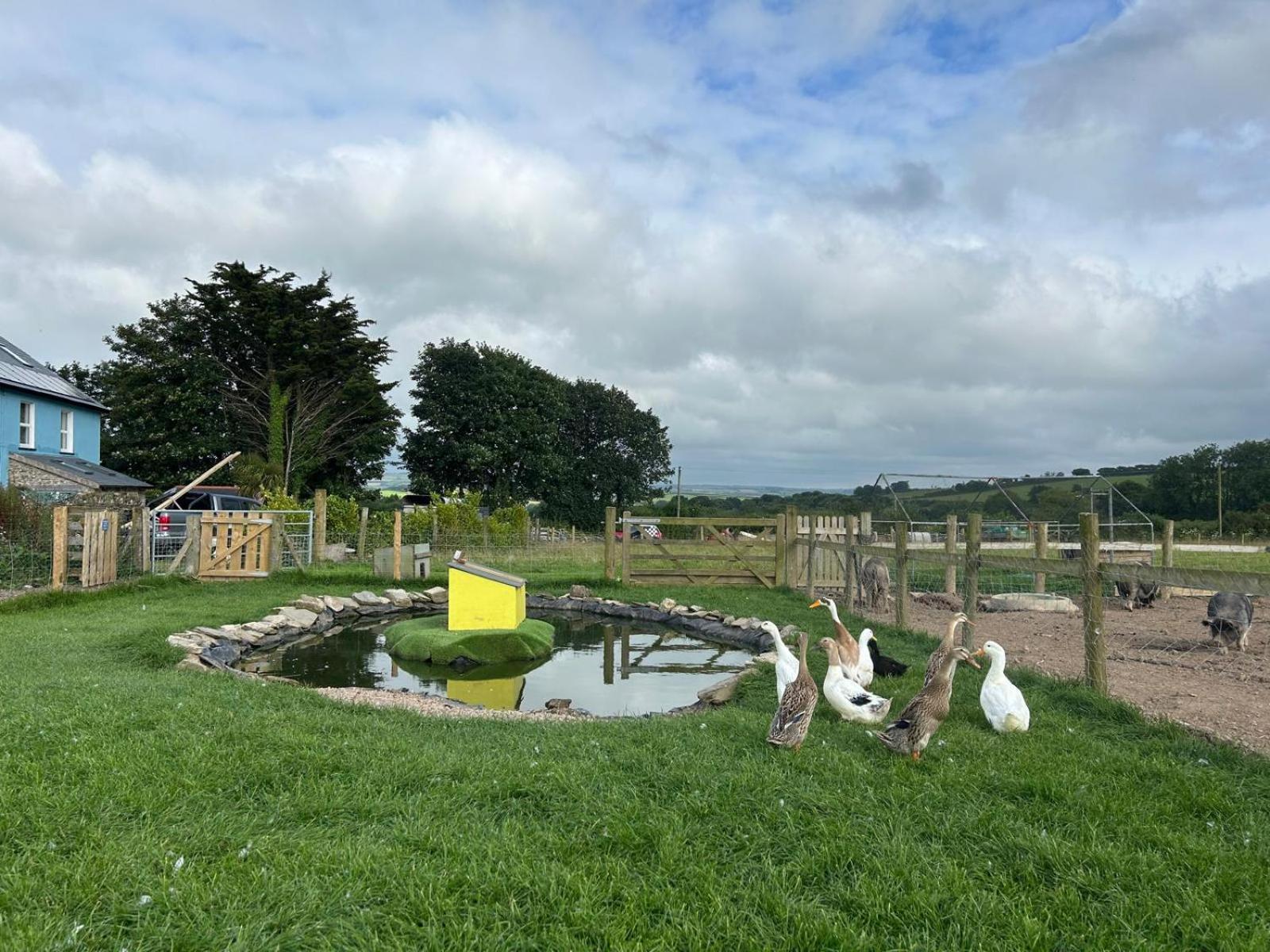 Yetland Farm Holiday Cottages Combe Martin Exterior photo